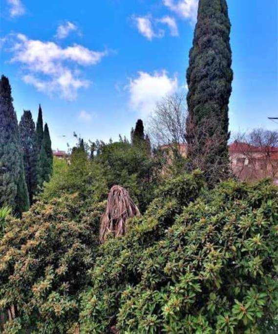 Casa Raffaello Careggi Apartment Florence Luaran gambar